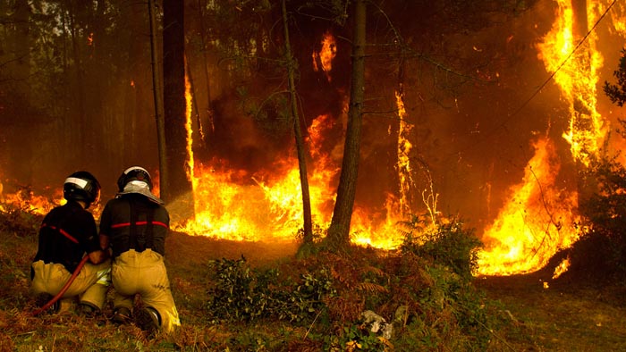Una anciana, investigada por los incendios de Galicia