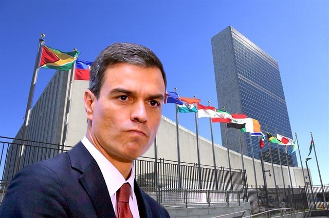Pedro Sánchez viaja hoy a la ONU