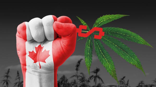 En Canadá ya se puede fumar (marihuana)