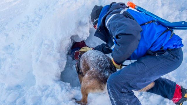 El niño que sobrevivió una hora sepultado bajo la nieve en los Alpes