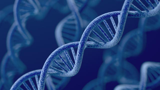 La secuencia de ADN ayudará al tratamiento de la tuberculosis