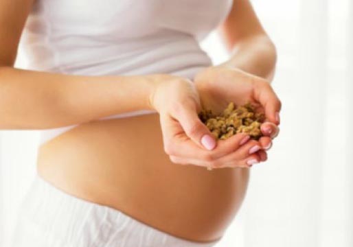 Los frutos secos durante el embarazo hacen que tus hijos sean más listos