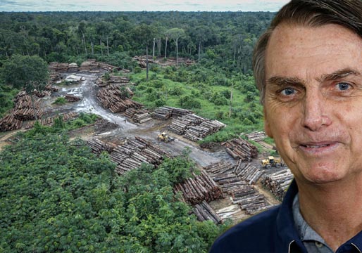 Bolsonaro no respeta el Amazonas