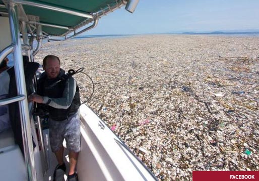 Millones de kilómetros cuadrados, la mayorista de plásticos y desechos en el Océano Pacífico