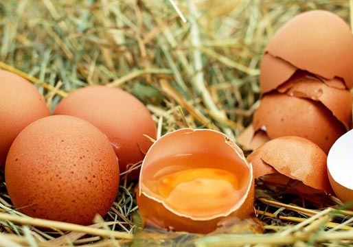 Cómo diferenciar los cuatro tipos de huevos de gallina