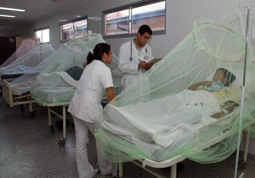 La epidemia de dengue afecta en Honduras a 80.000 personas