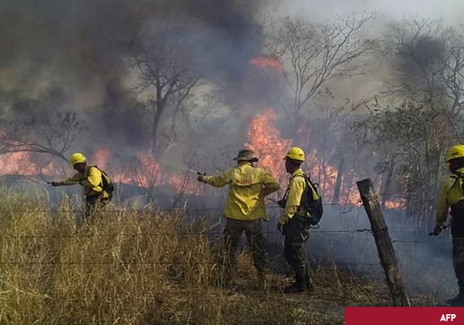 Los propios bomberos provocan una parte de los incendios en la Amazonía de Brasil