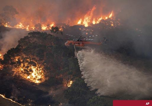 Casi toda una región boscosa australiana, patrimonio de la humanidad, devastada por los incendios
