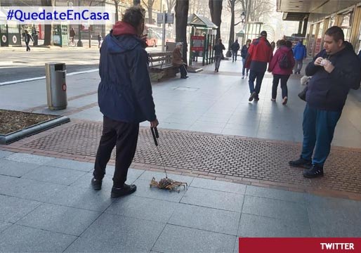 Un hombre pasea a un cangrejo por las calles de Bilbao