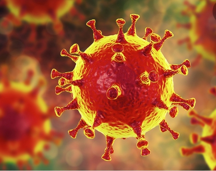 El 5% de los españoles ha padecido coronavirus