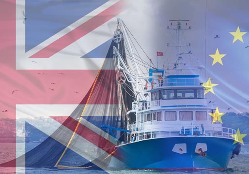 Reino Unido: acuerdos unilaterales con cada país de la UE para el Brexit