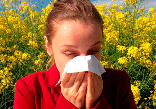 ¡Llegan las alergias! Cómo combatirlas con remedios caseros