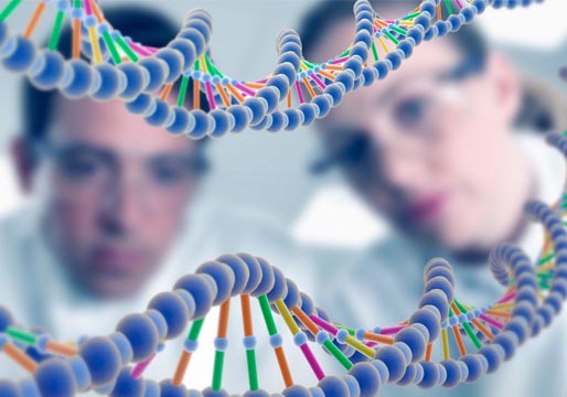 Secuencian por primera vez el genoma completo de un ser humano