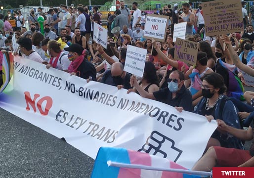 Una sentada del colectivo trans impide avanzar a la pancarta del PSOE en la manifestación LGTBI