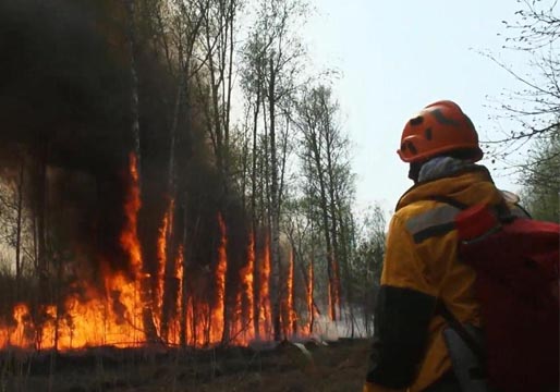 Los incendios forestales arrasan Rusia