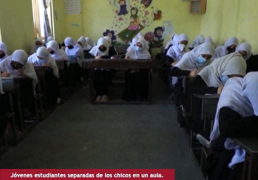 Primer decreto talibán: suspenden la educación mixta