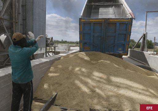 Exportaciones de grano: Ucrania y Rusia acuerdan reanudarlas