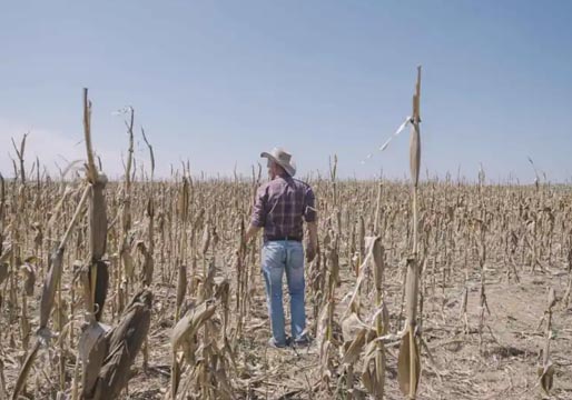 Lucha contra la sequía: 2.190 millones en ayudas